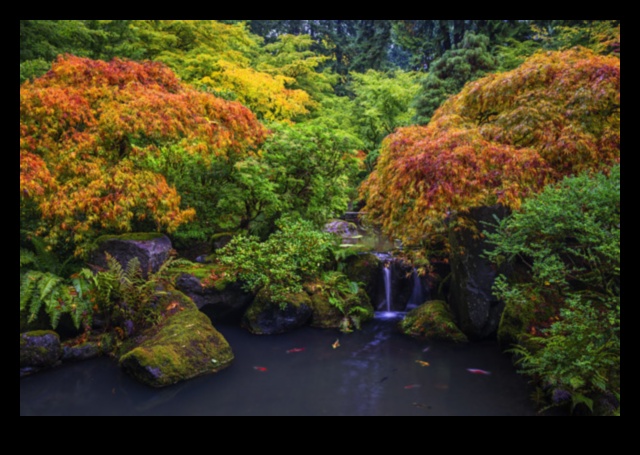 Maple Symphony: Sonbahar ihtişamıyla Japon Bahçeleri