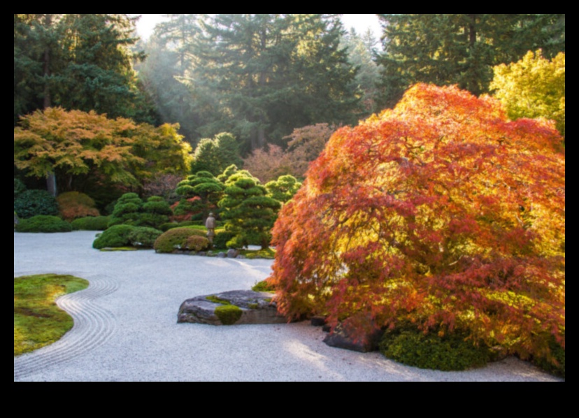 Maple Symphony: Sonbahar ihtişamıyla Japon Bahçeleri