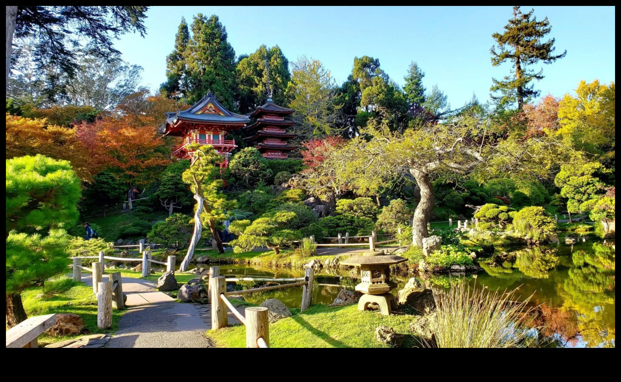 Çay Bahçeleri ve Huzur: Japon Özü Açığa Çıktı